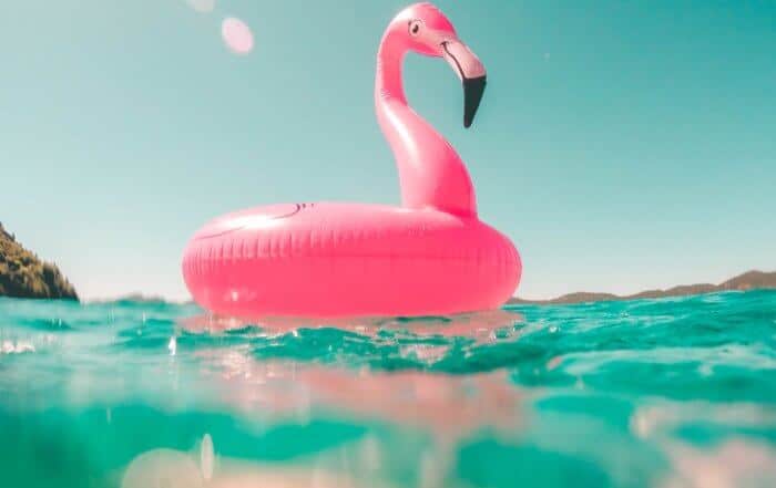 Enjoying Summertime