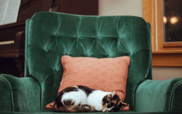 Are you sitting comfortably?